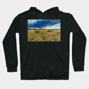 Virga in the desert Hoodie